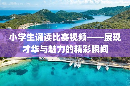小學(xué)生誦讀比賽視頻——展現(xiàn)才華與魅力的精彩瞬間