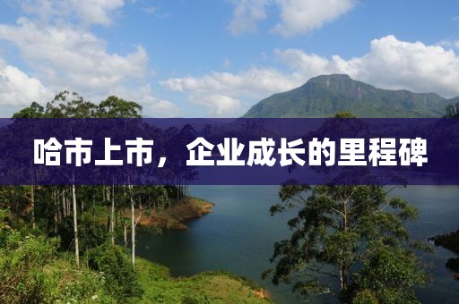 哈市上市，企業(yè)成長的里程碑