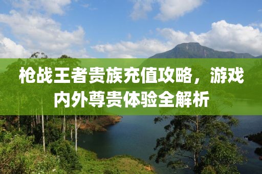 槍戰(zhàn)王者貴族充值攻略，游戲內(nèi)外尊貴體驗(yàn)全解析