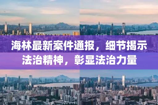 海林最新案件通報，細節(jié)揭示法治精神，彰顯法治力量
