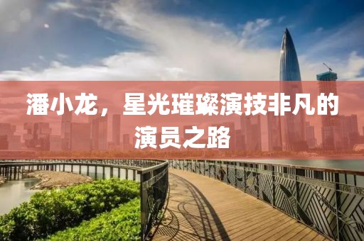 潘小龍，星光璀璨演技非凡的演員之路
