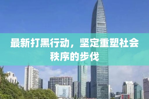 最新打黑行動，堅定重塑社會秩序的步伐