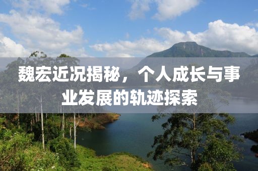 魏宏近況揭秘，個(gè)人成長與事業(yè)發(fā)展的軌跡探索