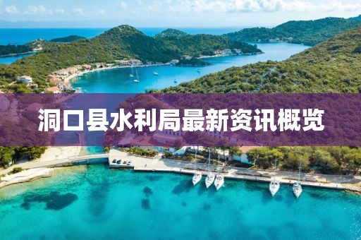 洞口縣水利局最新資訊概覽
