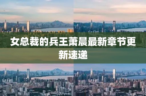 女總裁的兵王蕭晨最新章節(jié)更新速遞