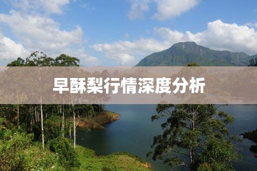 早酥梨行情深度分析