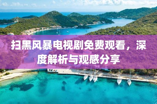 掃黑風暴電視劇免費觀看，深度解析與觀感分享