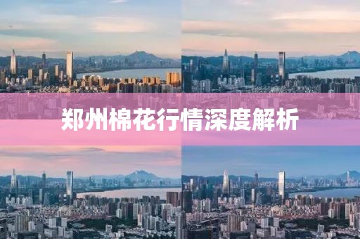鄭州棉花行情深度解析
