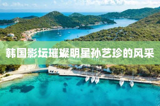 韓國影壇璀璨明星孫藝珍的風(fēng)采
