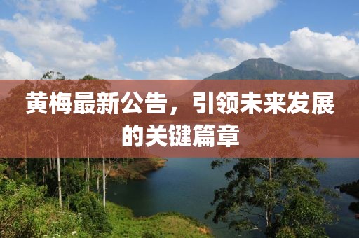 黃梅最新公告，引領(lǐng)未來發(fā)展的關(guān)鍵篇章