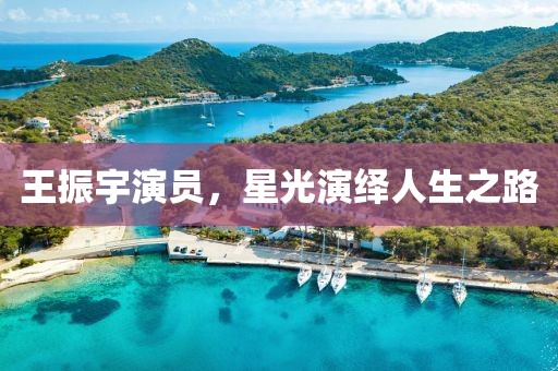 王振宇演員，星光演繹人生之路