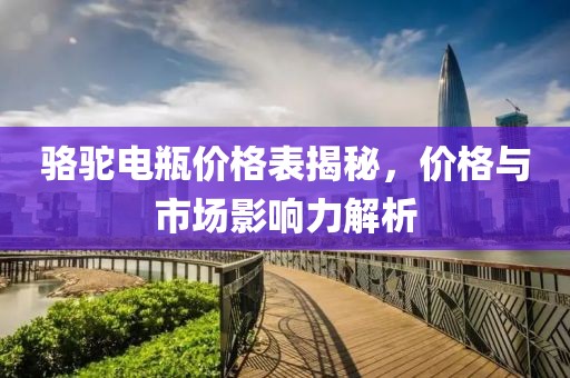 駱駝電瓶價格表揭秘，價格與市場影響力解析