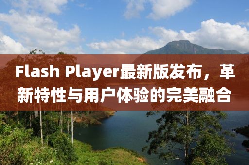 Flash Player最新版發(fā)布，革新特性與用戶體驗(yàn)的完美融合