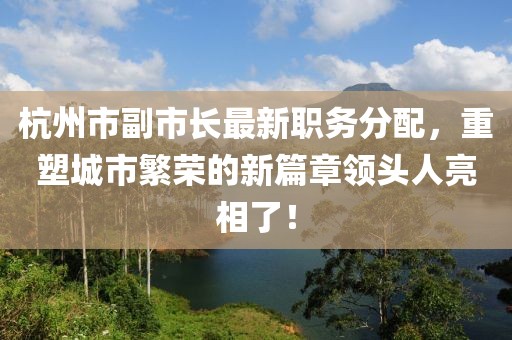 杭州市副市長最新職務(wù)分配，重塑城市繁榮的新篇章領(lǐng)頭人亮相了！