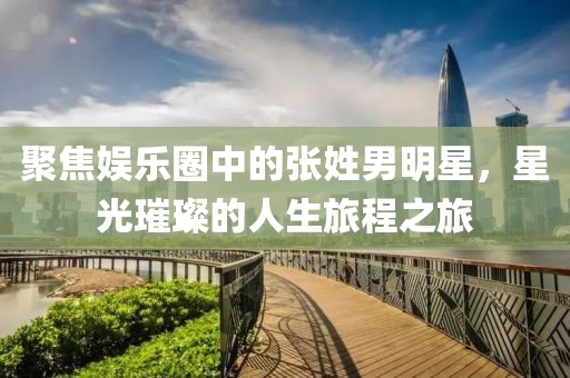 聚焦娛樂圈中的張姓男明星，星光璀璨的人生旅程之旅