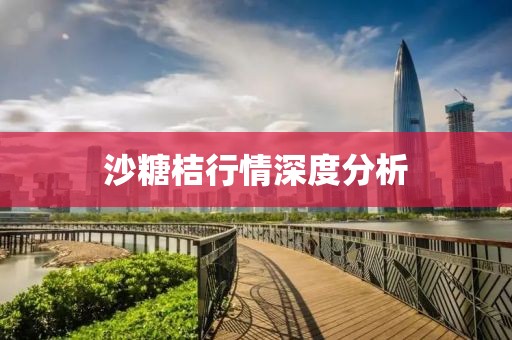 沙糖桔行情深度分析