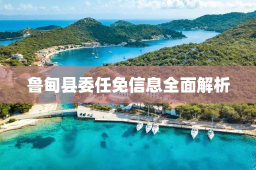 魯?shù)榭h委任免信息全面解析