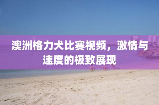 澳洲格力犬比賽視頻，激情與速度的極致展現(xiàn)
