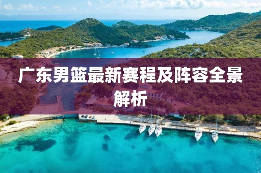 廣東男籃最新賽程及陣容全景解析