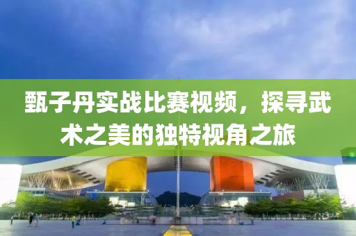 甄子丹實(shí)戰(zhàn)比賽視頻，探尋武術(shù)之美的獨(dú)特視角之旅
