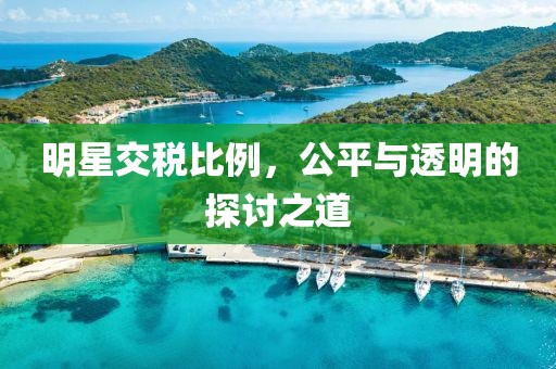 明星交稅比例，公平與透明的探討之道
