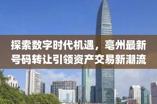 探索數(shù)字時(shí)代機(jī)遇，亳州最新號(hào)碼轉(zhuǎn)讓引領(lǐng)資產(chǎn)交易新潮流