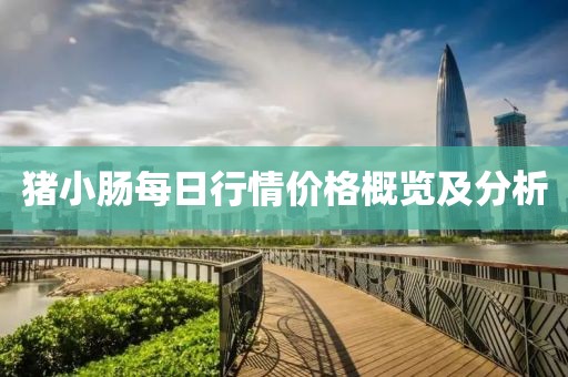 豬小腸每日行情價格概覽及分析