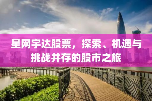 星網(wǎng)宇達(dá)股票，探索、機(jī)遇與挑戰(zhàn)并存的股市之旅