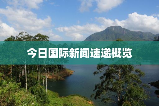 今日國(guó)際新聞速遞概覽
