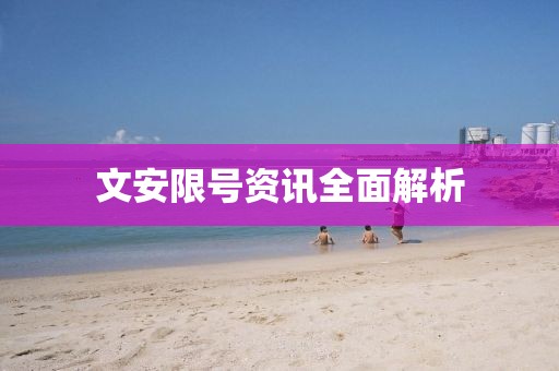 文安限號資訊全面解析