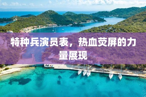 特種兵演員表，熱血熒屏的力量展現(xiàn)