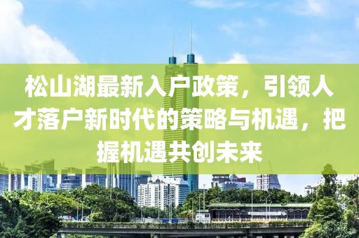 松山湖最新入戶政策，引領(lǐng)人才落戶新時(shí)代的策略與機(jī)遇，把握機(jī)遇共創(chuàng)未來