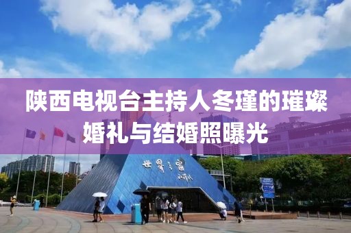 陜西電視臺主持人冬瑾的璀璨婚禮與結(jié)婚照曝光