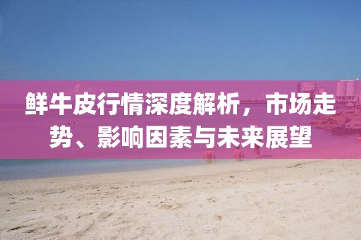 鮮牛皮行情深度解析，市場走勢、影響因素與未來展望