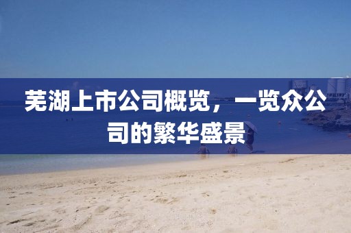 蕪湖上市公司概覽，一覽眾公司的繁華盛景