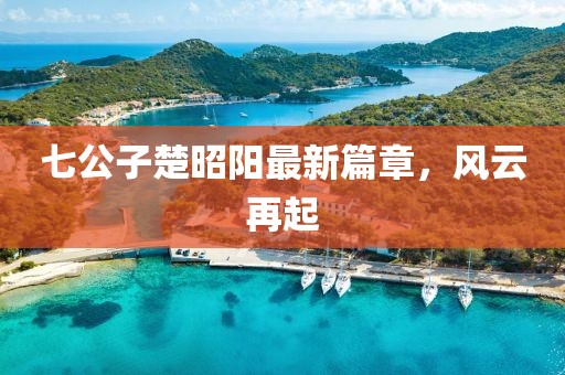 七公子楚昭陽(yáng)最新篇章，風(fēng)云再起