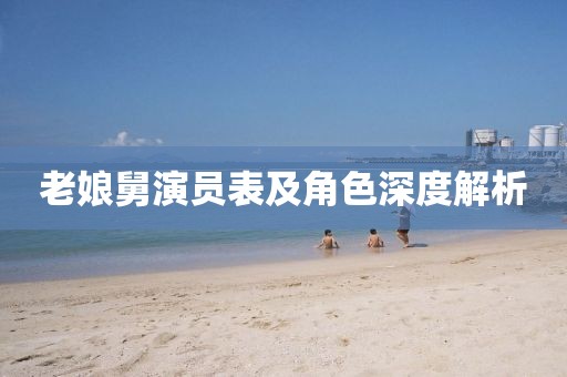 老娘舅演員表及角色深度解析