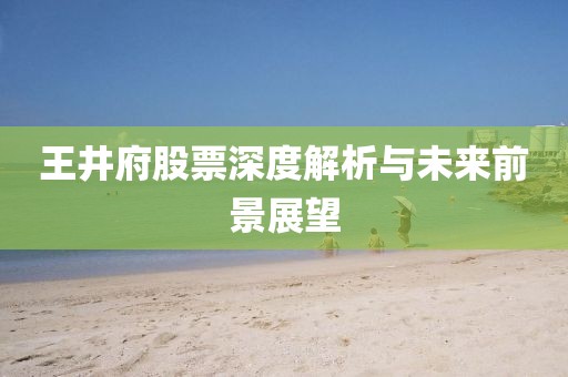 王井府股票深度解析與未來(lái)前景展望