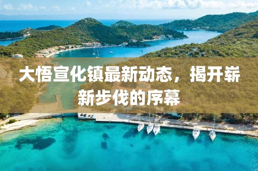 大悟宣化鎮(zhèn)最新動態(tài)，揭開嶄新步伐的序幕