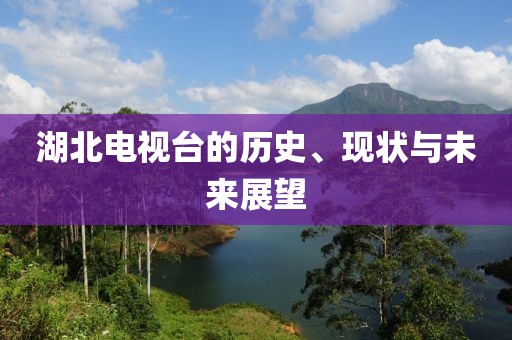 湖北電視臺的歷史、現(xiàn)狀與未來展望