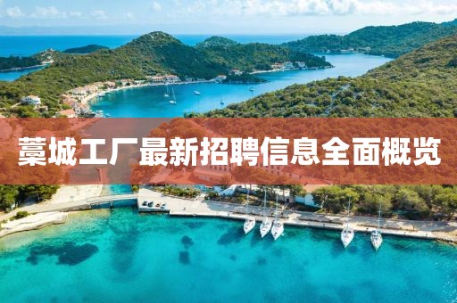 藁城工廠最新招聘信息全面概覽
