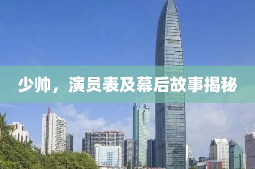少帥，演員表及幕后故事揭秘