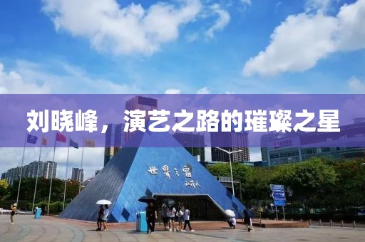 劉曉峰，演藝之路的璀璨之星