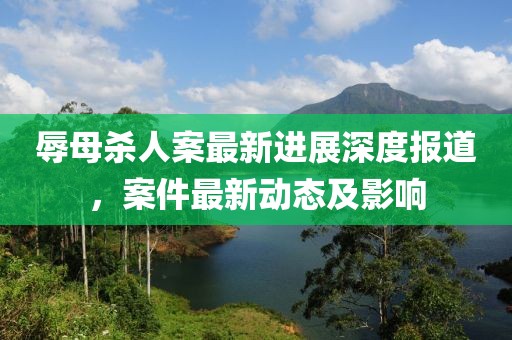 辱母殺人案最新進展深度報道，案件最新動態(tài)及影響
