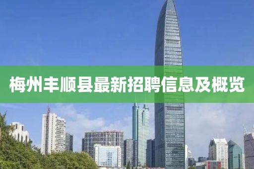 梅州豐順縣最新招聘信息及概覽