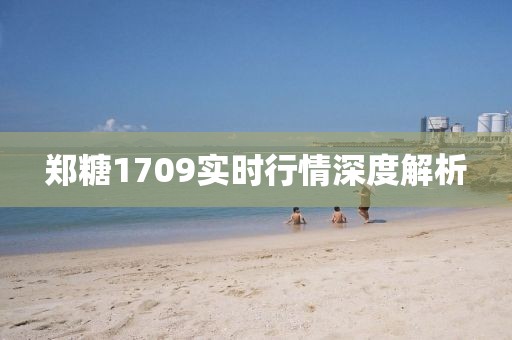 鄭糖1709實(shí)時(shí)行情深度解析