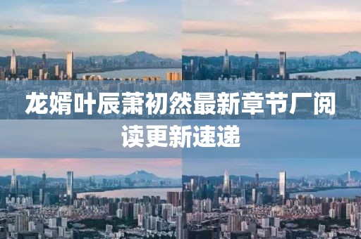 龍婿葉辰蕭初然最新章節(jié)廠閱讀更新速遞
