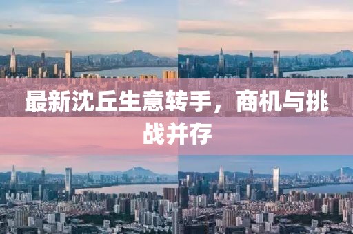 最新沈丘生意轉(zhuǎn)手，商機(jī)與挑戰(zhàn)并存
