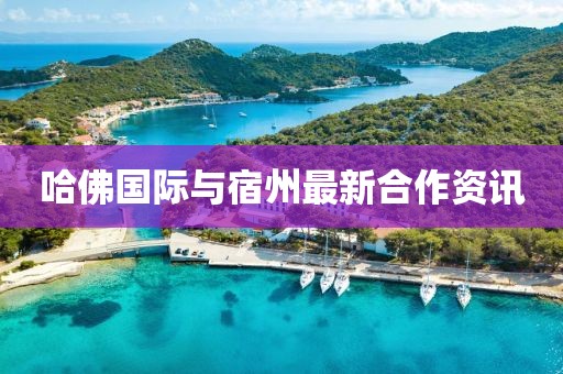 哈佛國際與宿州最新合作資訊