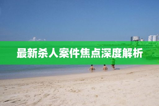 最新殺人案件焦點深度解析